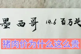 世界十大养猪国，这么多猪，你知道为什么猪肉价还是那么贵吗？视频封面