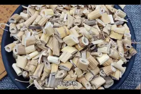 芦根的功效和作用视频封面