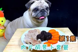 第1集|狗狗沉浸式吃播之肉片胡萝卜套餐视频封面