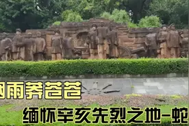 “烟雨莽苍苍，龟蛇锁大江。”站在蛇山之上，缅怀前辈革命先烈。视频封面