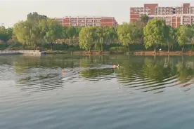 中老年人游泳会“伤心”，入水要慎重！视频封面