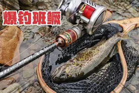 从浙江跑到安徽路亚鳜鱼，结果用三种饵都连竿，根本就停不下来！视频封面