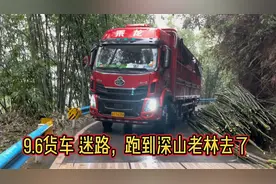 9米6高栏货车，在四川被导航带进 深山老林 弯道太吓人了视频封面