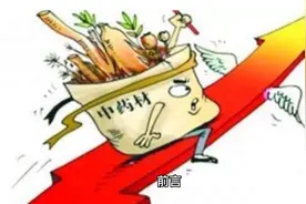 中药概念：正宗的5大龙头，有望开启3月主升浪！视频封面