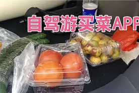 自驾游出行旅居常用的APP，买东西省心省力，价格还不高视频封面
