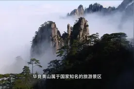 一年亏了4600万！黄山年接待旅客仅150视频封面