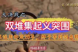 【大决战】之110师起义，廖运周卧底20年，终为中野完成完美助攻视频封面