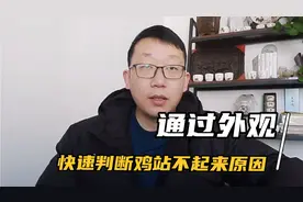 鸡站不起来常见原因，可以通过四个方面来判断视频封面