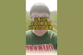 小麦打药先打除草剂还是先打叶面肥视频封面