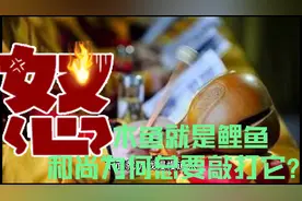 和尚为什么要敲打木鱼？个中原由还和我们人类的生死有关？视频封面