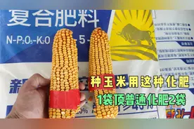 玉米用哪种肥料好？用这种化肥1袋顶普通化肥2袋，保水保肥还增产视频封面