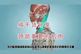 颈部很重要的一块肌肉，胸锁乳突肌，伏案工作的人值得了解一下。视频封面