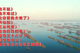 《伤不起》《我不难过》《让你爱我太难了》《天仙配》视频封面