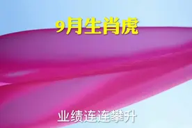 9月生肖虎视频封面
