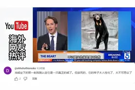 国外网站爆火的假熊事件，外国网友:很多人连基本的分辨力都没有视频封面