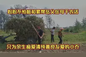盼盼余生只为痴爱小乔，不怕脏不怕累实心实意帮岳父岳母干农活！视频封面