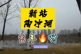 合肥有湖的地方发展都不差天鹅湖新站区的陶冲湖价值已经兑现视频封面