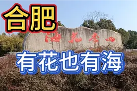 安徽合肥四季花海公园，有花也有海，今天人比较多，还有搭帐篷的视频封面