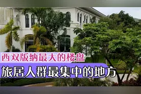 西双版纳最大的楼盘，旅居人群聚集地，六十多的一室七千多一平米视频封面