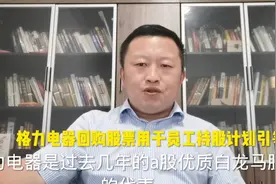 格力电器员工持股计划也许就是格力电器股票跌跌不休的源头视频封面