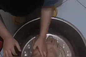 童年很短，未来很远，看着宝贝渐渐长大，作为父母感到非常欣慰图片