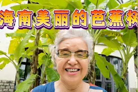 西瓜视频是最接地气的自媒体平台，海南芭蕉树下老太太畅所欲言视频封面
