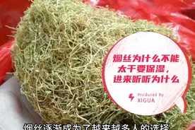 烟丝为什么不能太干要保湿，进来听听为什么视频封面