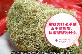 烟丝为什么不能太干要保湿，进来听听为什么视频封面