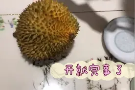 开个榴莲778，没想到最后……视频封面