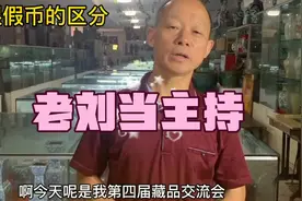 老刘请师弟讲述真银假币的区分，师弟讲解，老刘再次做总结视频封面