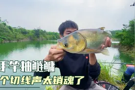 几十米深的矿坑就是钓鲢鳙的好地方，中鱼以后呼呼响，振奋人心！视频封面