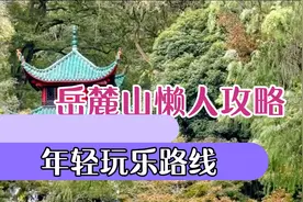 岳麓山滑道、索道、观光车攻略来了，一看就懂，省时省力