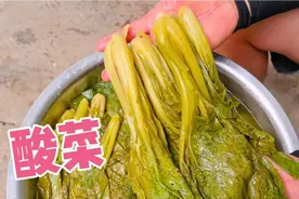 家里青菜都被虫子吃完了，小农乡割回家，用开水一烫，做成酸菜
