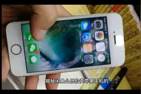 揭秘闲鱼低价手机骗局视频封面