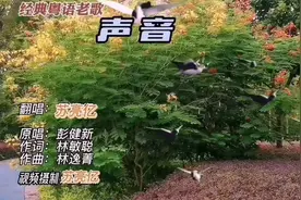 百听不厌经典粤语老歌：《声音》，唤起多少旧日的声音！