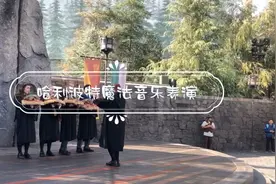 哈利波特魔法学院音乐表演，青蛙伴奏！ps：那个主唱小哥哥有点帅视频封面