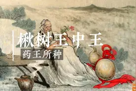千年楸树，药王所种，乃王中之王#我的乡村生活 #孙思邈 #涨知识视频封面