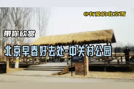 春游篇：北京早春好去处-中关村公园