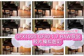 富士GFX100S 拍摄的RAW导出的十九种胶片模拟色彩分享