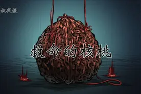 民间故事：救命的核桃视频封面