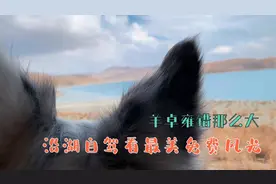 西藏羊卓雍错那么大，不走寻常路，沿湖边公路自驾看最美免费风光视频封面