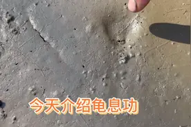 今天介绍龟息功，在干涸的泥土中鳖靠什么生存视频封面