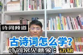 诗词常见意象（二）：动物视频封面