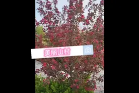 园田美樱视频封面