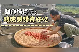 河源的野生杨梅成熟了，吃不了这么多，制成梅干一年365天都有吃