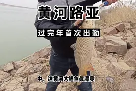 黄河路亚，简单的装备就有意想不到的鱼获。视频封面
