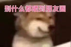 别什么都晒到朋友圈！哈哈哈哈笑出猪叫视频封面