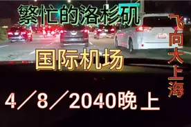 从美国洛杉矶飞向故乡上海视频封面
