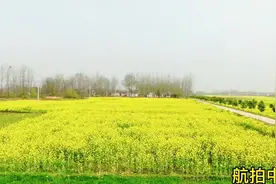 航拍信阳市光山县仙居乡，“万亩油菜花田”独山传说千古流传。视频封面