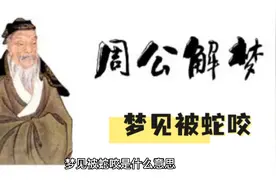 【周公解梦】梦见被蛇咬视频封面